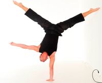 Einarmiger Handstand